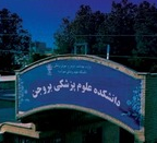 فرهنگی و امور دانشجویی